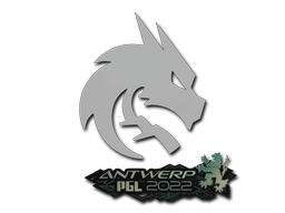Team Spirit | Antwerp 2022