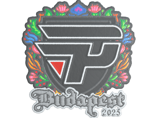 paiN Gaming (Embroidered) | Budapest 2025